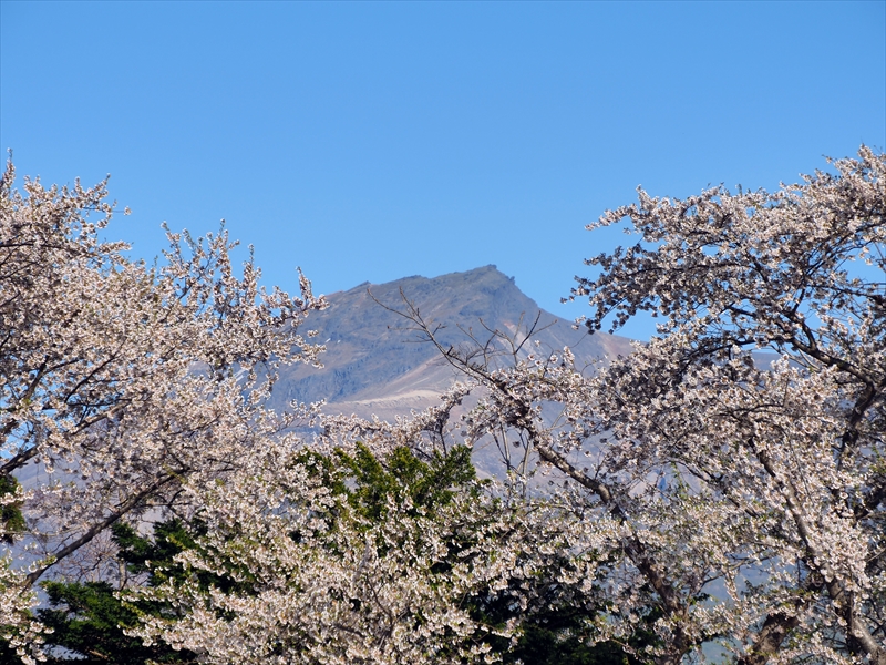 1001_森町オニウシ公園_北海道