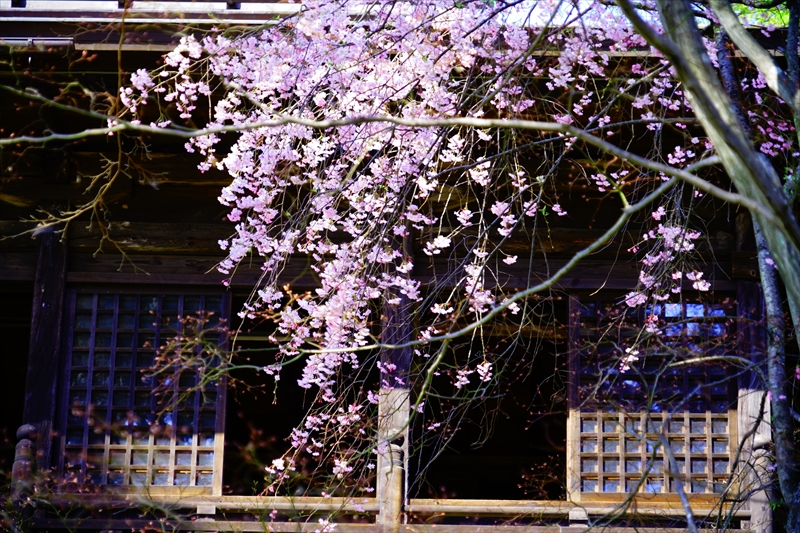 1009_大善寺_山梨