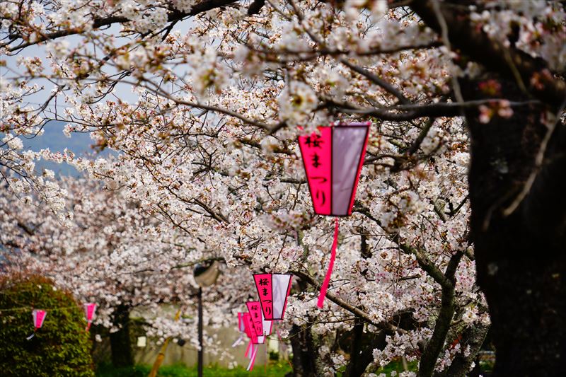 1053_鹿島市旭ヶ岡公園_佐賀