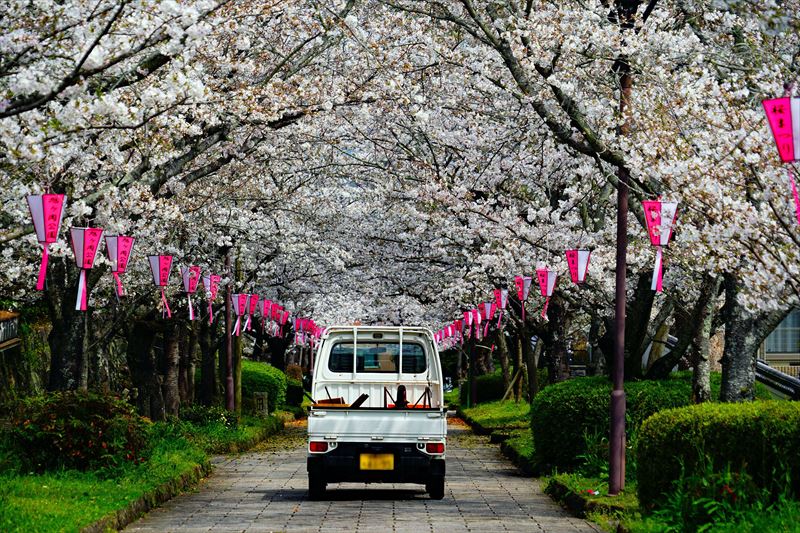 1055_鹿島市旭ヶ岡公園_佐賀