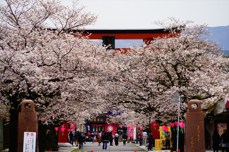1039_祐徳稲荷神社_佐賀