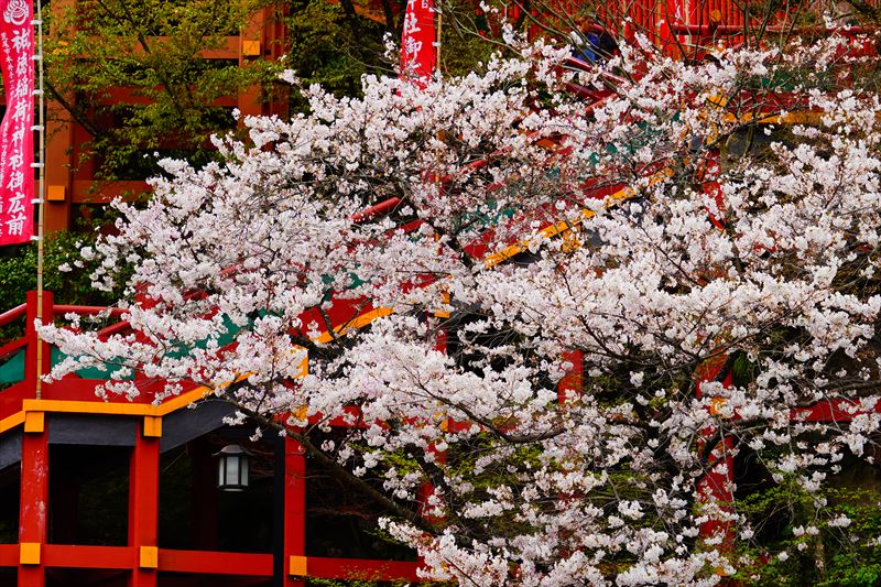 1041_祐徳稲荷神社_佐賀