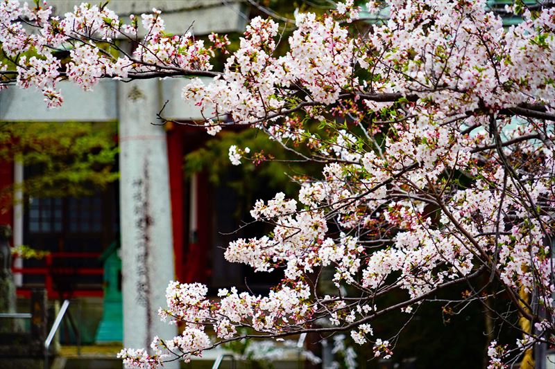 1038_太良嶽神社_佐賀