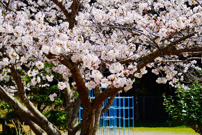 1027_長与総合公園_長崎