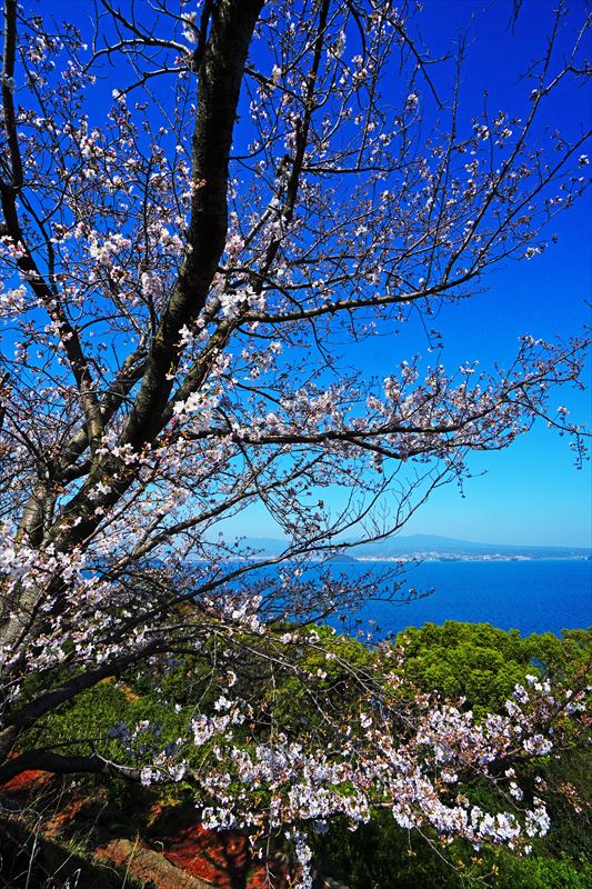 1030_県道207号線多良見町佐瀬_長崎
