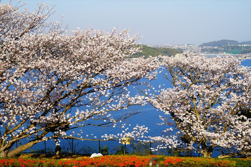 1036_多良見のぞみ公園_長崎