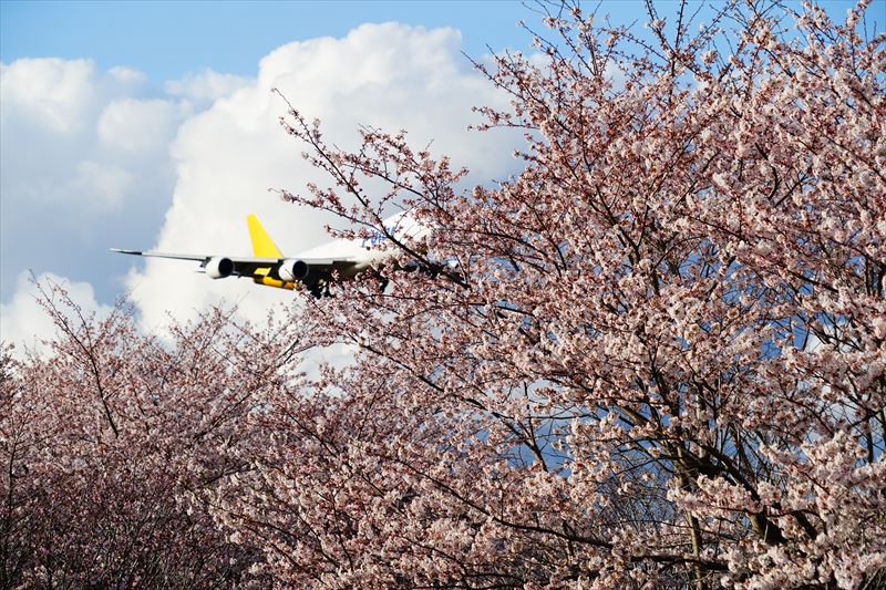 1012_成田市さくらの山_千葉