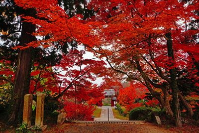 1236_下関市覚苑寺_山口