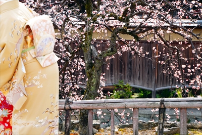 1047_洛東 祇園白川_京都府