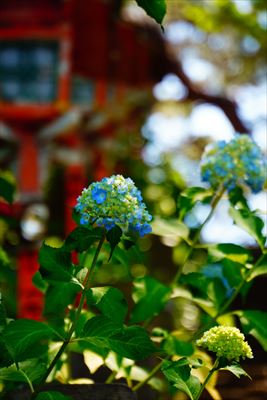 1014_高山稲荷神社_青森県