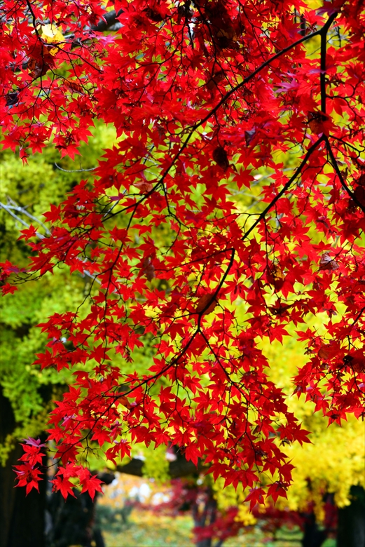 01_portfolio_photo