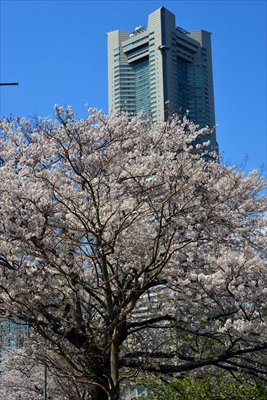 1076_なとみらい_神奈川