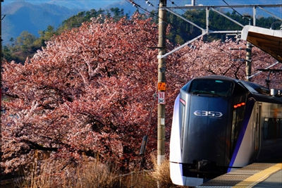 1012_勝沼ぶどう卿駅_山梨