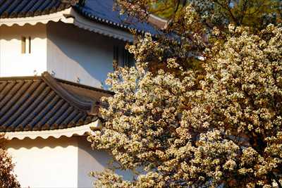 1002_甲府城公園_山梨