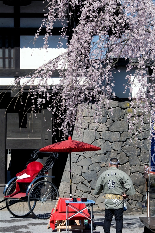 1051_小諸城址懐古園_長野