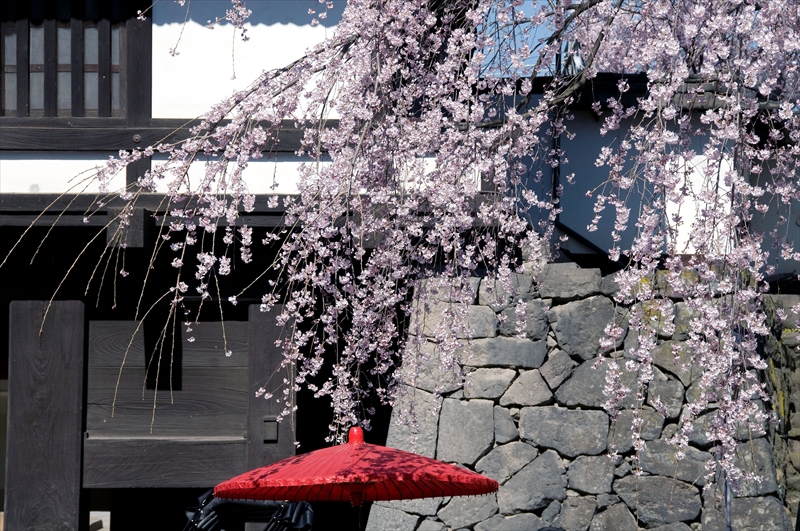 1052_小諸城址懐古園_長野