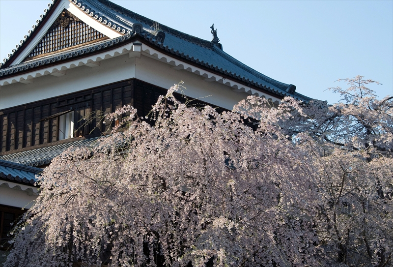 1090_上田城跡公園_長野