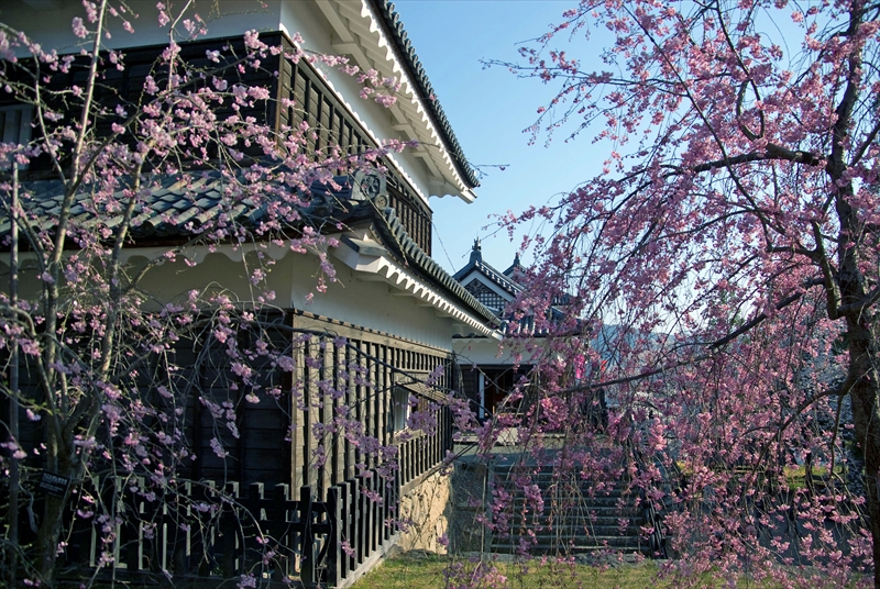 1093_上田城跡公園_長野