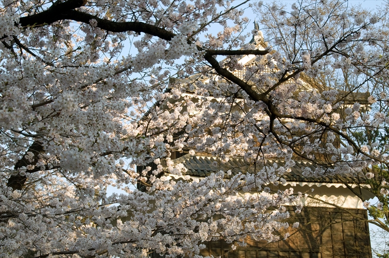 1110_上田城跡公園_長野