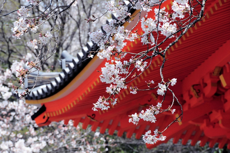 1001_紀三井寺_和歌山