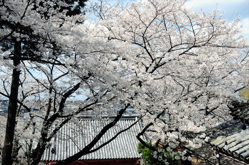 1002_紀三井寺_和歌山