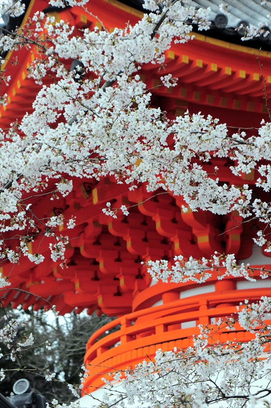 1012_紀三井寺_和歌山