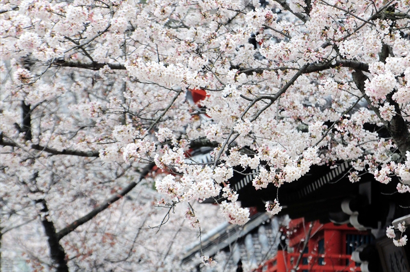 1014_紀三井寺_和歌山