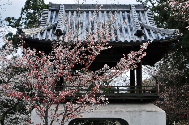 1035_根来寺_和歌山