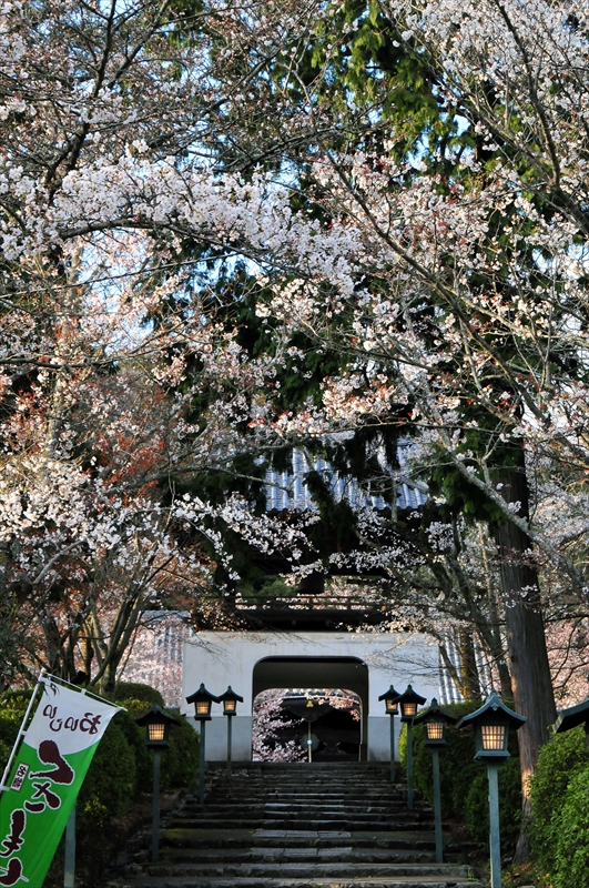 1043_根来寺_和歌山