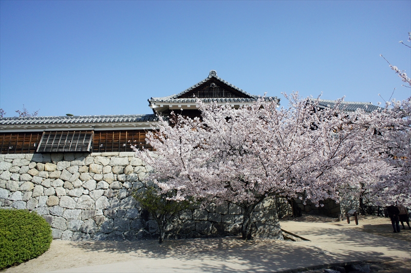 1005_松山城_愛媛