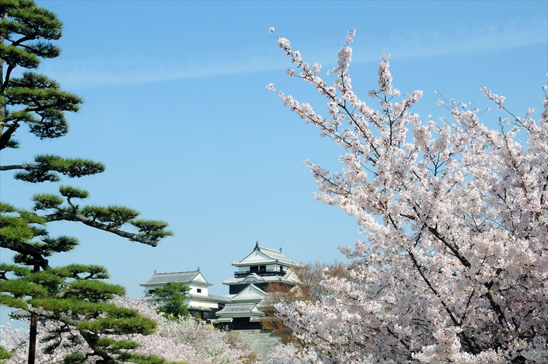 1018_松山城_愛媛