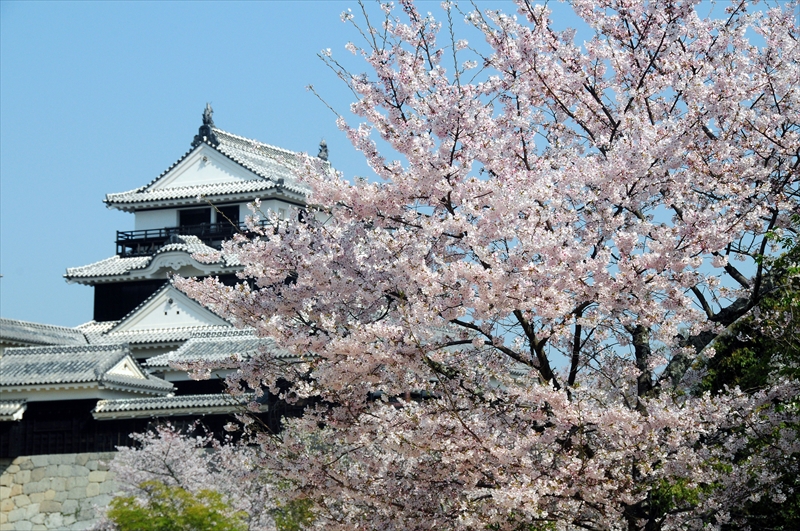 1031_松山城_愛媛