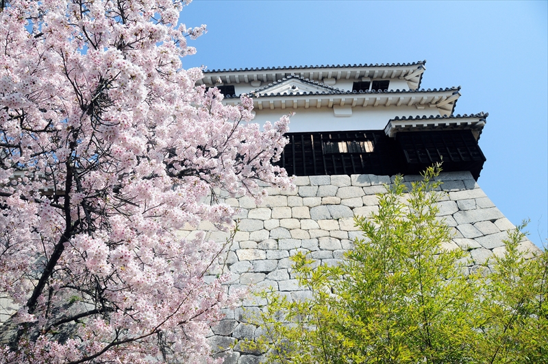 1040_松山城_愛媛