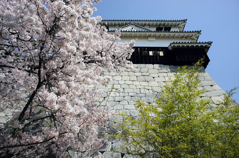 1042_松山城_愛媛