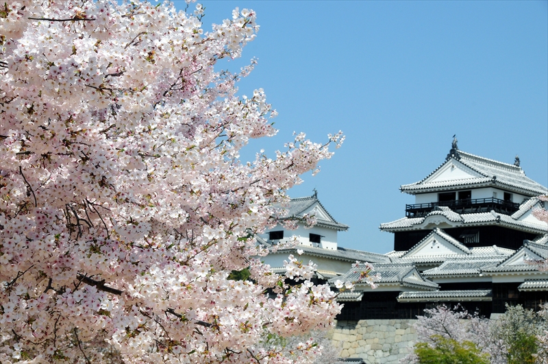 1046_松山城_愛媛