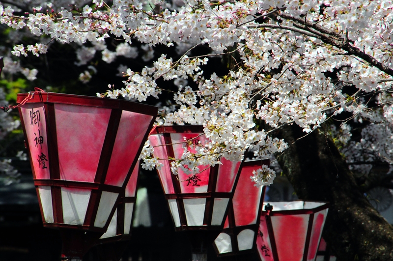 1068_三嶋大社_静岡