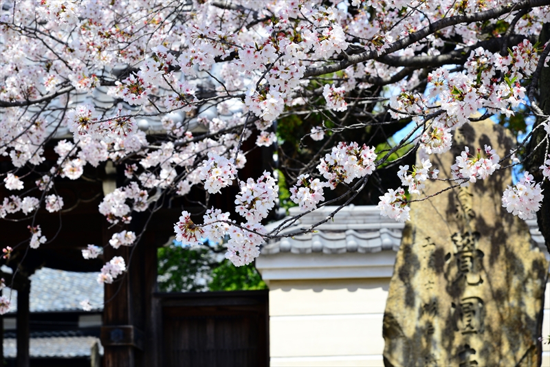 1035_則竹山覺圓寺_愛知