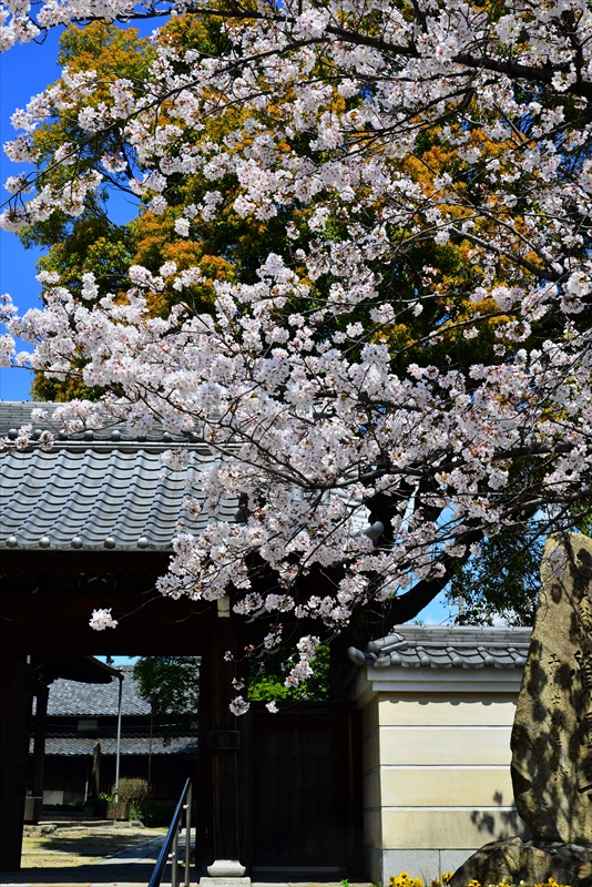 1036_則竹山覺圓寺_愛知