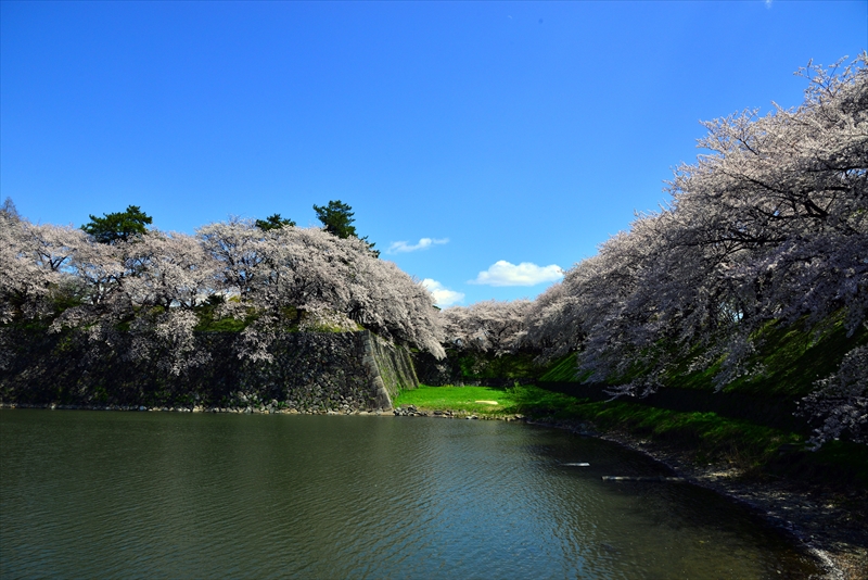 1001_名古屋城_愛知
