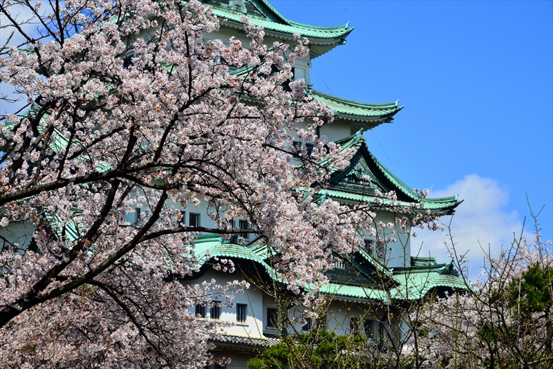 1012_名古屋城_愛知