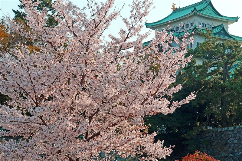 1032_名古屋城_愛知