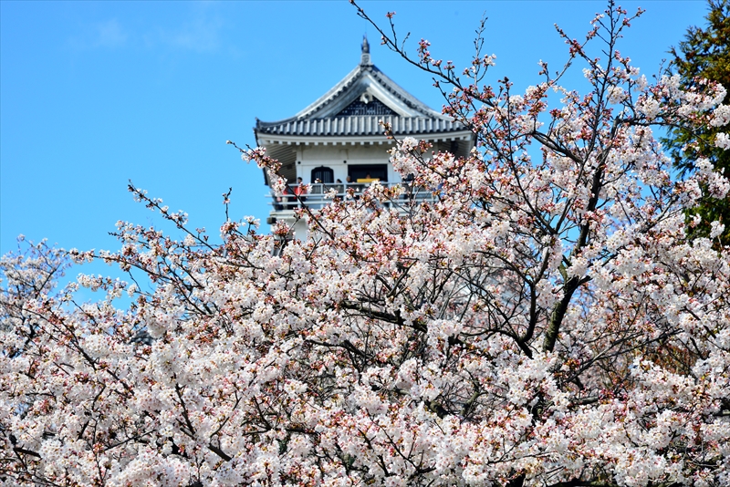 1002_6_豊公園長浜城_滋賀