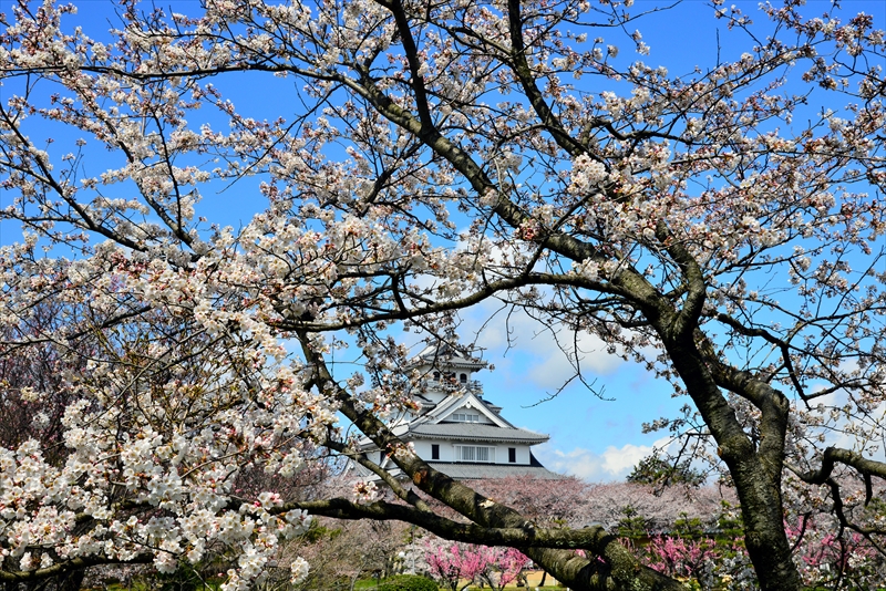 1006_6_豊公園長浜城_滋賀