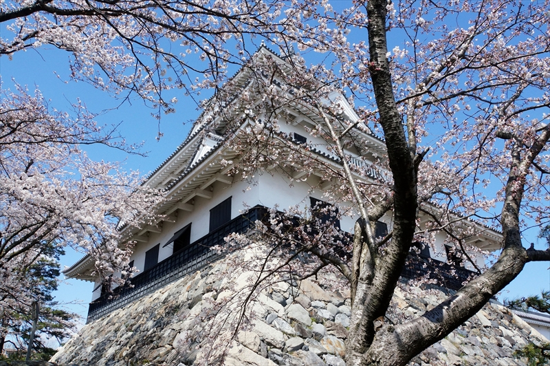 1019_6_豊公園長浜城_滋賀