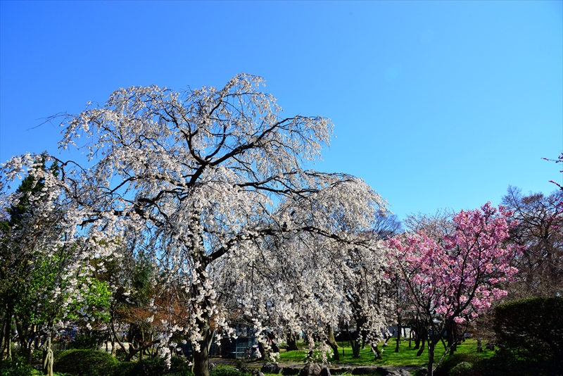 1020_6_豊公園長浜城_滋賀