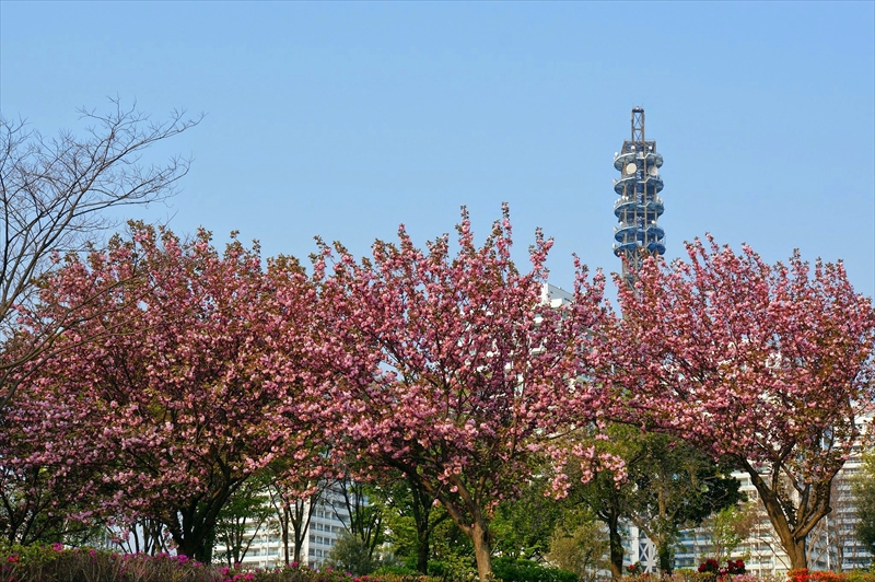 1064_なとみらい_神奈川