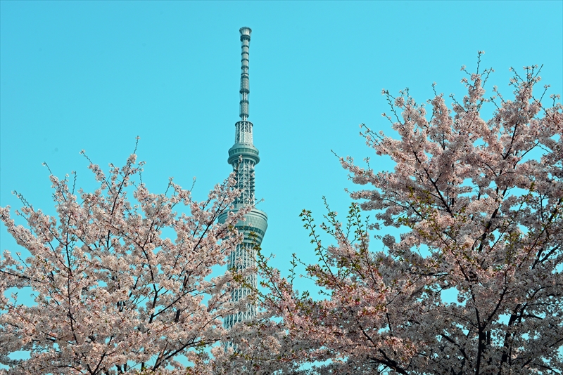 1067_浅草寺_東京