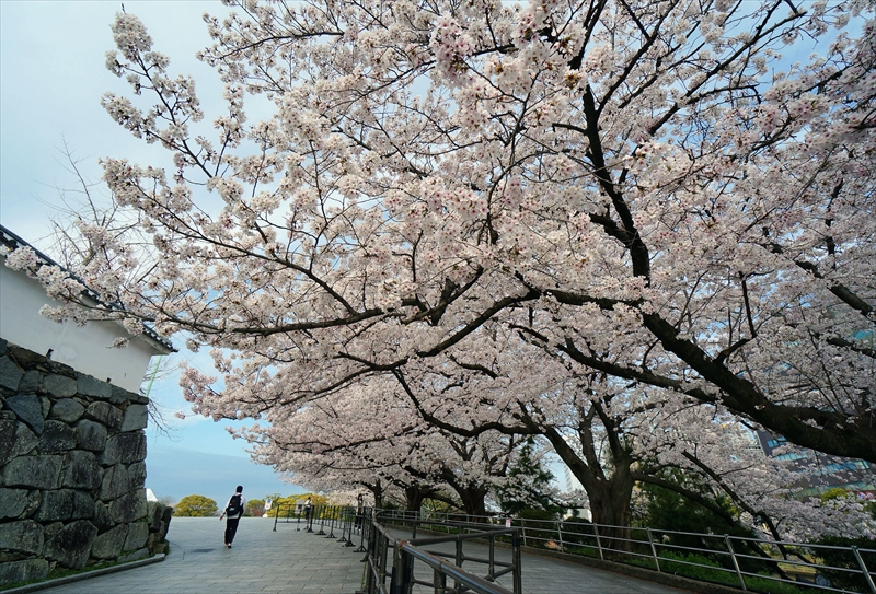 1048_福岡城跡_福岡