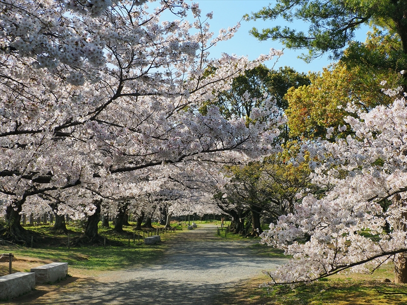 1056_福岡城跡_福岡