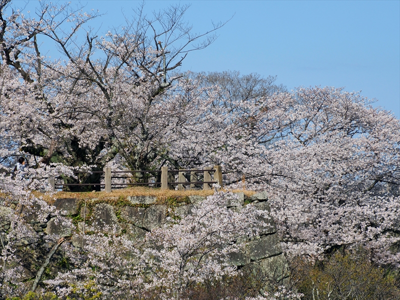 1057_福岡城跡_福岡